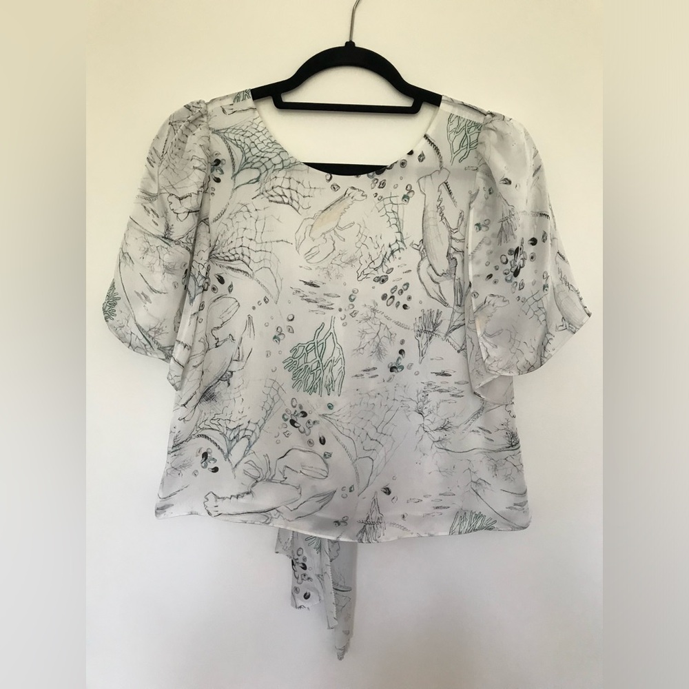 Club Monaco silk cropped top